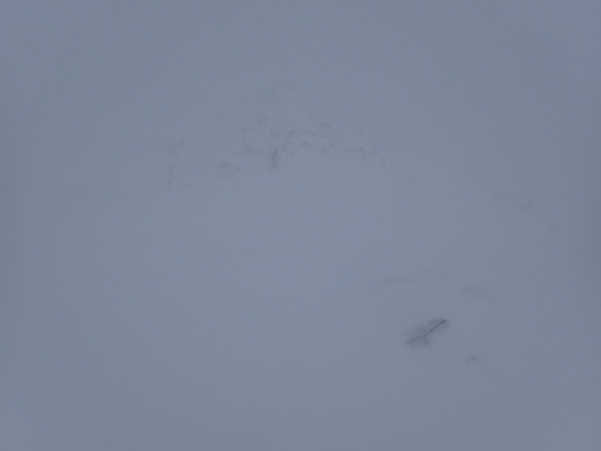 Visibility can change very quickly when deep snow is combined with low cloud and wind blown snow. This is the view looking down Swirral Edge from its exit not long after taking the previous picture and presumably close to where Zac took his pic yesterday. Jon