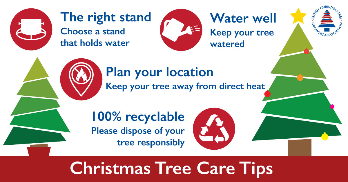 BCTGA's tweet photo. Here are our tips for keeping your natural tree fresh and fragrant throughout the festive season.
https://t.co/DVLFqbjS4l #toptips #christmastreecare #freshchristmastree https://t.co/PfK0m1egX3