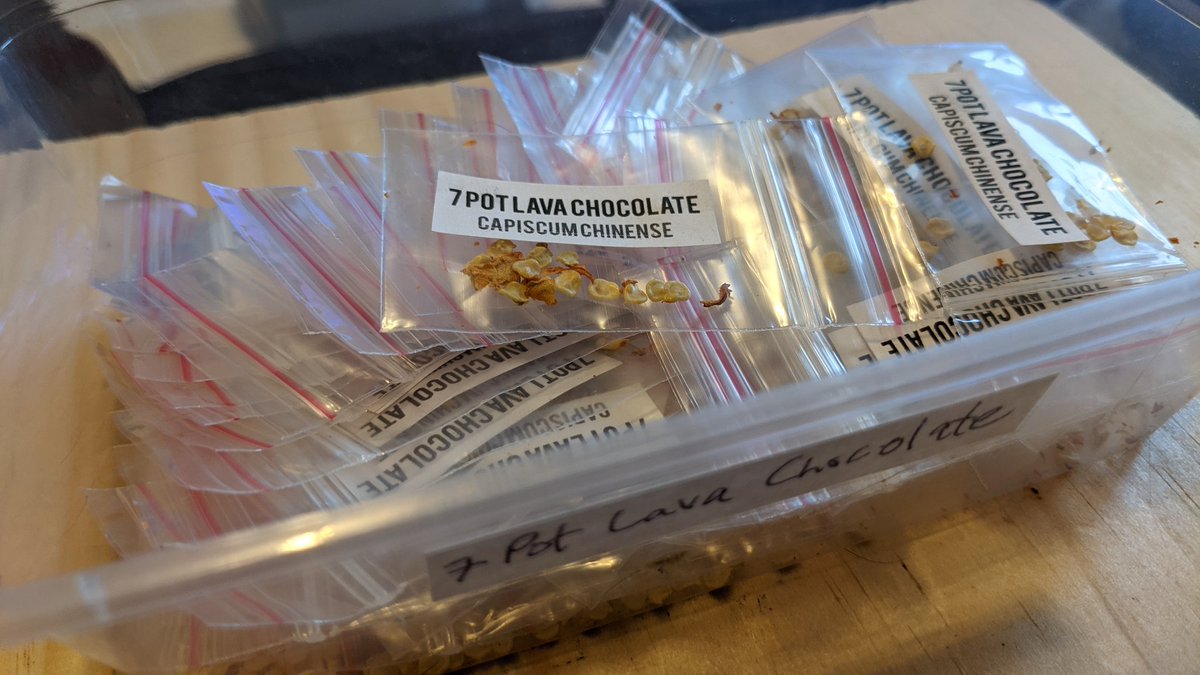 SuperHotsCanada's tweet photo. #7PotLava Chocolate seeds. :) https://t.co/5fkT8Bxyk7