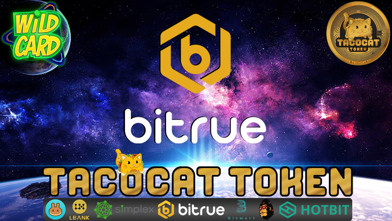 BiderBillions's tweet image. Solid project on #BSC?! Check out $TCT!!!. Available NOW on #Bitrue! You’re so much stronger than your excuses #bluechiptaco