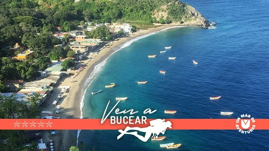AzulScuba's tweet photo. #VenABucear deja en superficie todo y sumérgete sólo con lo necesario en el azul.

> Discover es la experiencia de buceo que te permite ser buzo por un día. Ideal para un fin de semana totalmente diferente e inolvidable.

> Cursos y especialidades de buc… https://t.co/SUyIb1cobU https://t.co/h8U1l8xLuj