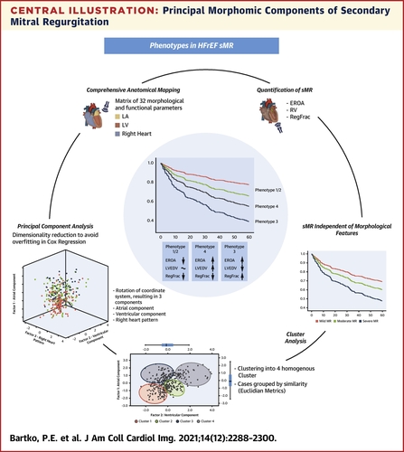 The association of secondary MR with mortality cannot be purely attributed to cardiac morphology alone. From @jaccjournals jacc.org/doi/10.1016/j.…