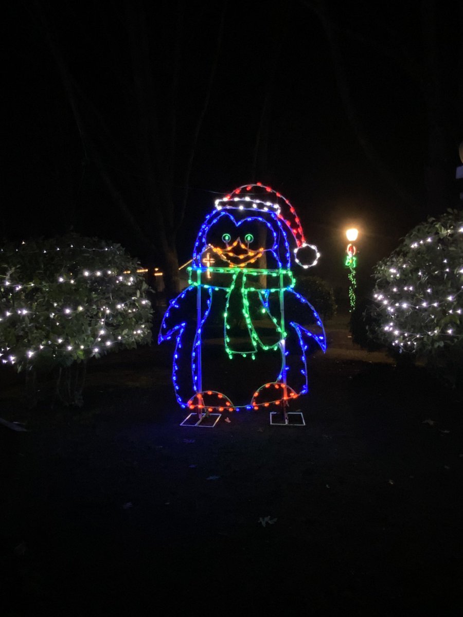 Thank you to all who attended the 20th Annual Light Up The Night on Friday, December 3rd. Wait Park will continue to stay illuminated with holiday lights until January. Thank you to Canby Parks Department for helping to bring the holidays to Canby! #canbyparks #CityofCanbyOR