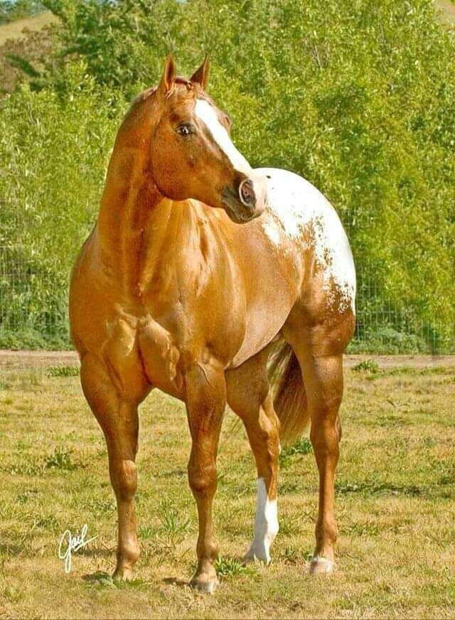 esslamooo1's tweet photo. @mon202041 @wise555555555 @Ah55_5 @QD9oTEGysLt47n3 @bu_3umran @Dreamdreamdd @mahaelmahruky @AmalReak @yWNjIHGDCTFAGut @33_umyousef_22 الله محي اصلك https://t.co/XkRogrDbTY