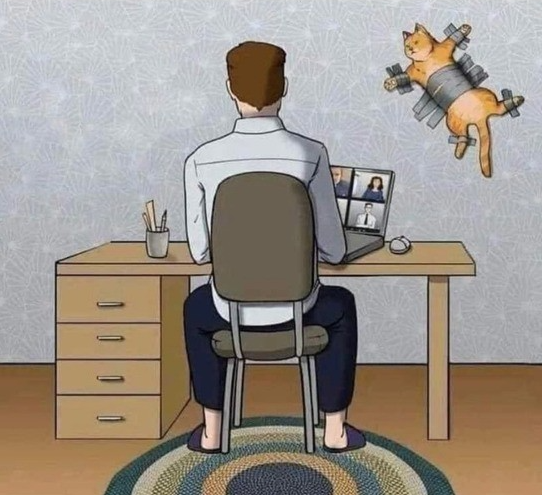 marillion13's tweet photo. #HomeOffice with #Cats, this is the safest way to do it without being disturbed 24/7. 
#CatsInQuarantine #CatsOfTwitter #CatsOfFacebook #CatLovers #Memes. 
😹😹😹
#GetVaxxed and/or #Boostered, don´t be an #AntiVaxxer, a #Covidiot.
💉💉💉😷😷😷😮😮😮💖💖💖 https://t.co/QknnFGstCT