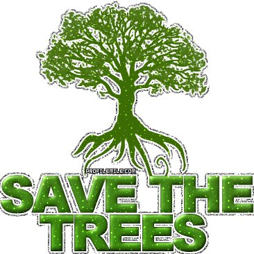 gallinafiedler1's tweet photo. In a New World/Law in Order my beautiful yet SO Hurting family members worldwide all #Forest #Jungles #Trees #Plants #Flowers #Meadows #Land #UnderBrush &amp; all their beautiful BABIES/YOUTH including  @GobQuintanaRoo @SRZLawFirm @USCGouldLaw @UMD_Vet_Med @IN_gov Cont https://t.co/FOVkCpGe0z
