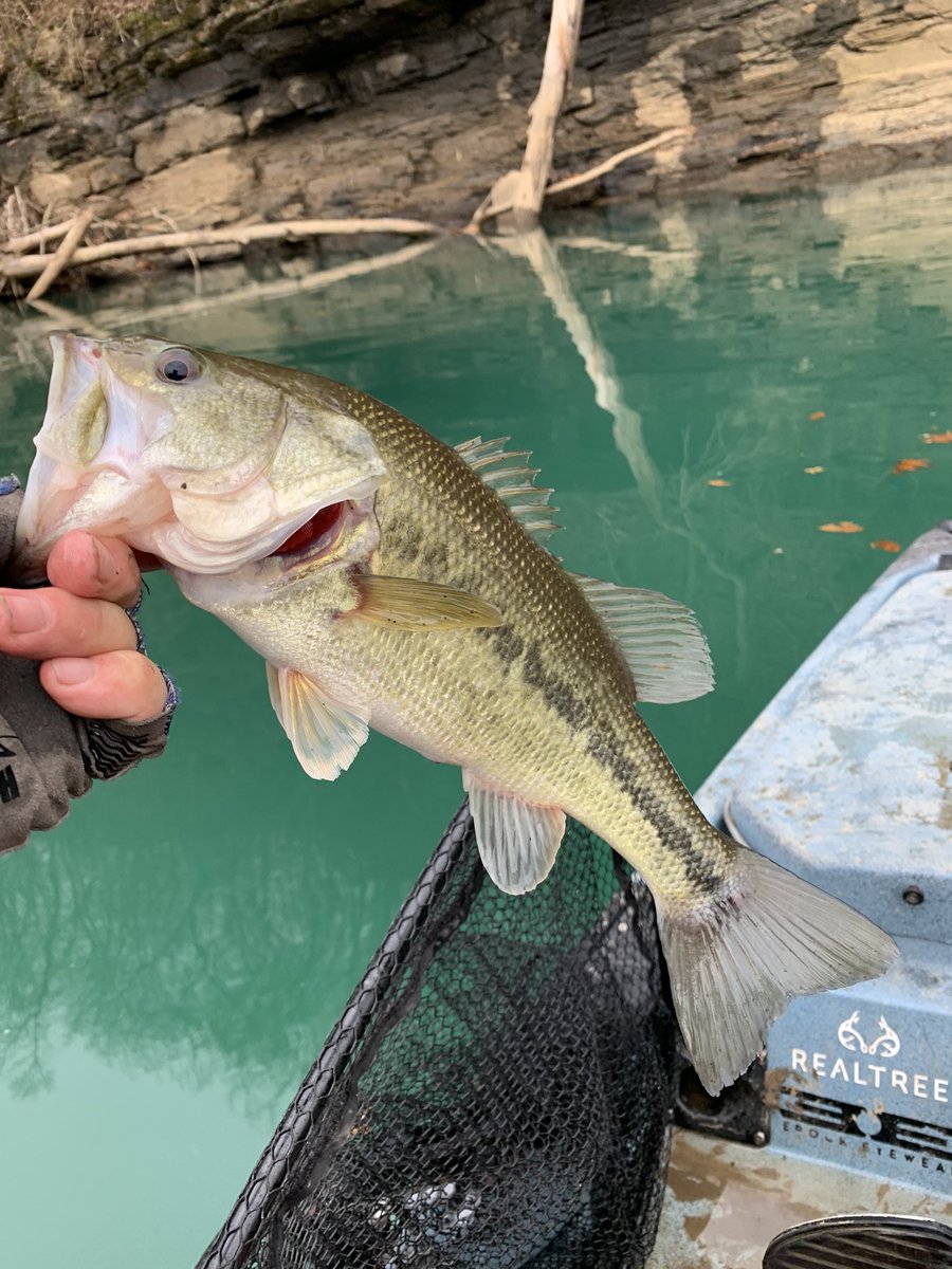 RB_Bassin's tweet photo. 2/2 Fished with and against some amazing competitors and qualified for the State Championship on Lake Chick #fishdayton. Can’t wait to get back out there and find those #hawgzillas. @KetchProducts @KayakBassFish #kayakkushion. https://t.co/GbG6R5OrM4