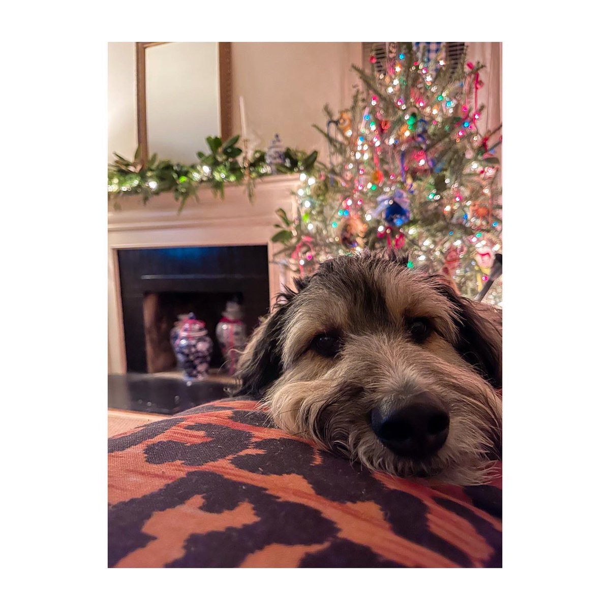 Making seasons ✨ BRIGHT ✨ with some of the very best.