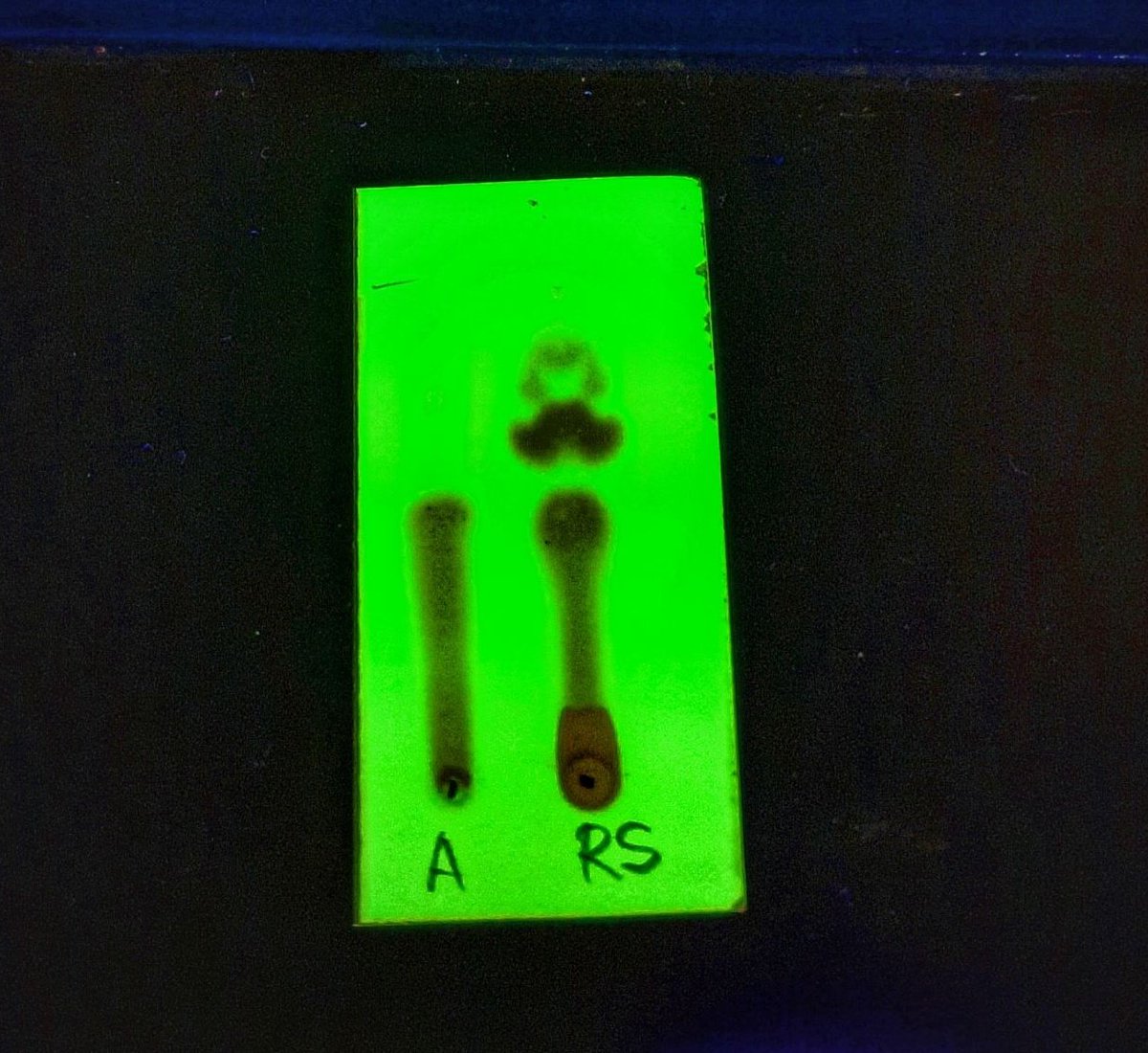 OpsenicaLab's tweet photo. This product chose to look fancy today ๐ฅธ
#opsenicalab #orgchem #heterocycles #science #nature #reaction #tlc #research #gradschool #phd #gradstudent #chemistry #realtimechem #serbianscience #universityofbelgrade #school #laboratory #mustache #hemijskifakultet #chemtwitter https://t.co/8TApLscwrL