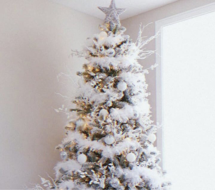 omaronthinker's tweet photo. omander/omaron as christmas decorations; a thread. https://t.co/ExYqJoHERn
