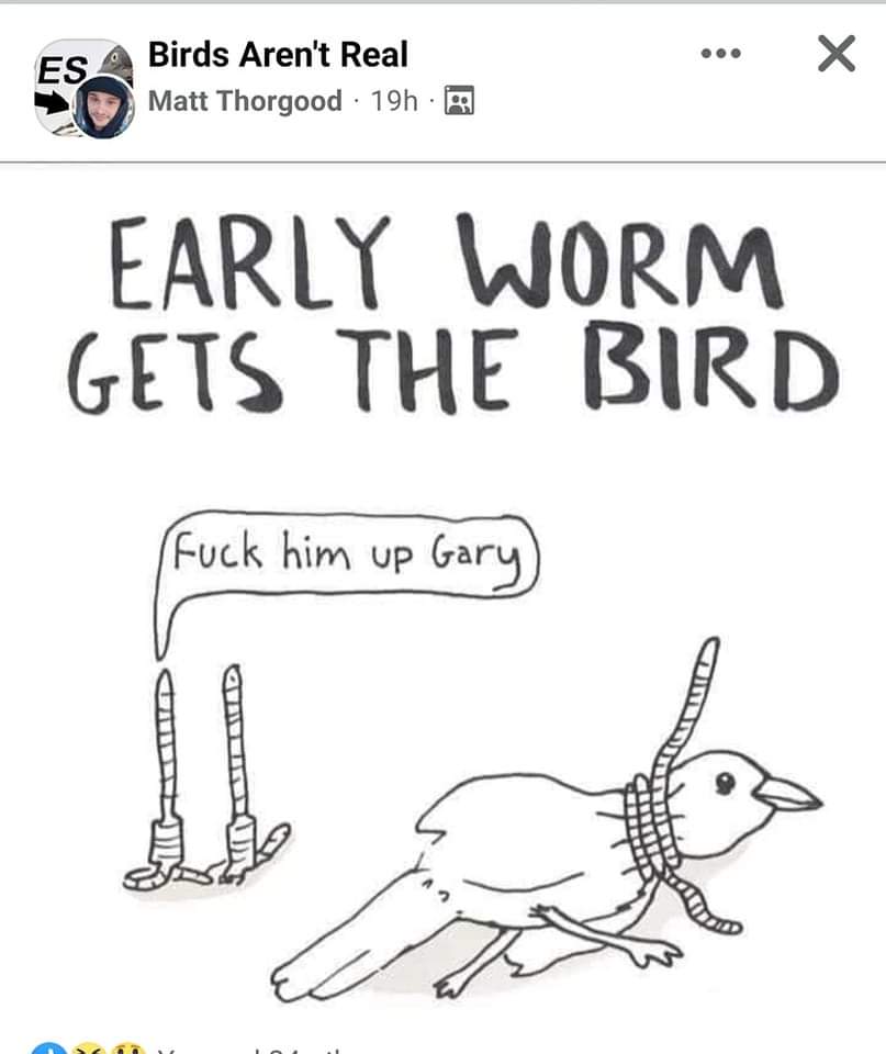 Tim Farley the 2nd (@farleytimii) on Twitter photo 