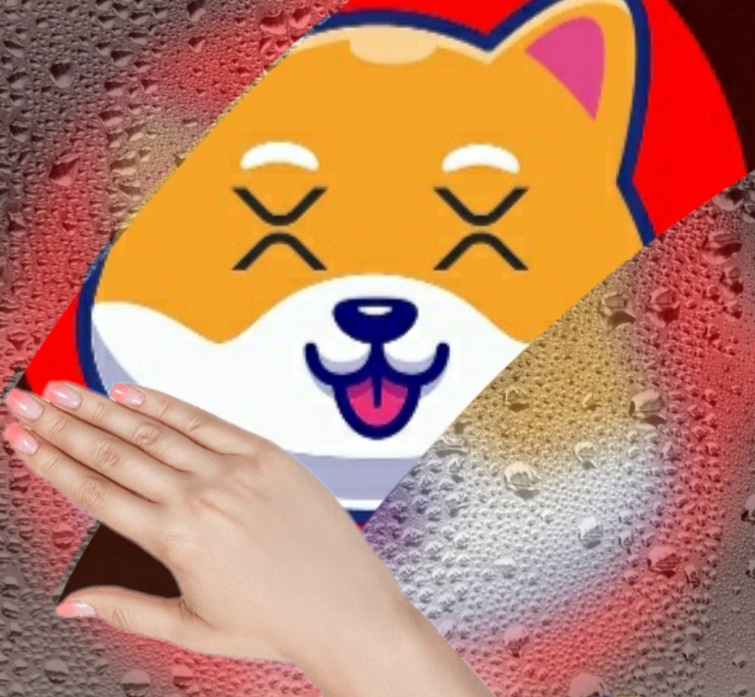 XRshib's tweet photo. 🏆Winners🏆Congrats for winning the RT contest! You get 200k XRSHIB

@francesivy_08
@kingeman21
@alfanta_carlos
@KaorieBaltomore
@archinitah

We really appreciate all of you so much!

$XRSHIB #XRSHIB #XRP #XRPCOMMUNITY #Sologenic #Airdrops #XRPArmy  #XRPCommunity #XRPL https://t.co/uGpDdLMmrN