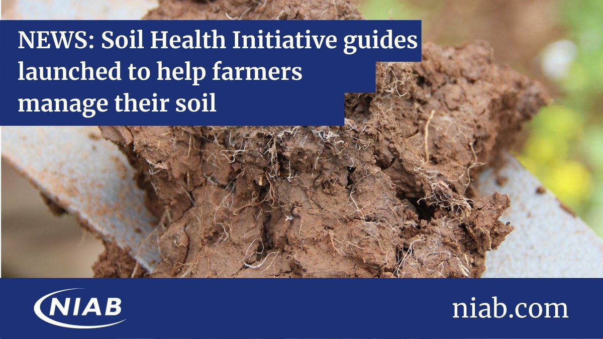 niabgroup's tweet photo. Yesterday was #WorldSoilDay, but did you know last month as part of a wide-ranging partnership we launched the UK Soil Health Initiative guides, which contain simple, yet practical advice for managing your soil.
Take a look and download β‘οΈ https://t.co/SLEdj3cnkt #SoilGuides https://t.co/Yyfa2ke6dr