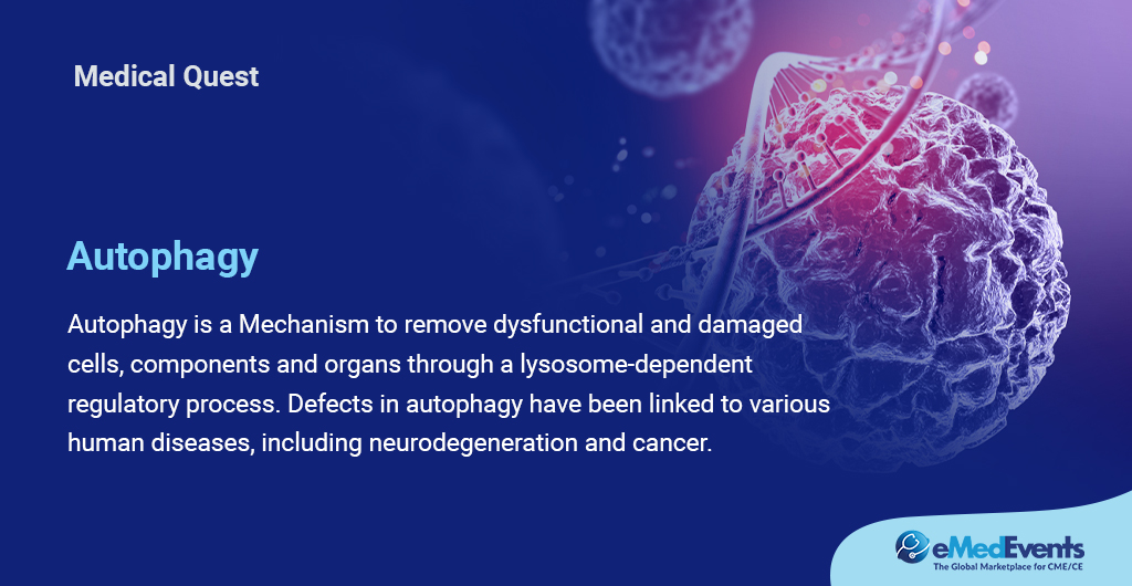 eMedEvents's tweet photo. Autophagy is a biological mechanism that eliminates toxins from the body while also recycling damaged cell components.
#eMedEvents #Autophagy #Biologicalprocess #Healthcare #meded https://t.co/zt3kzEw4qv