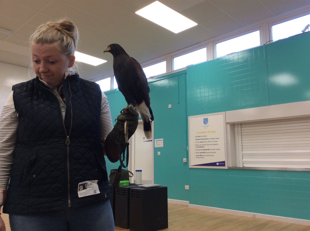 therookeries's tweet photo. EYFS had some special visitors from @KLfalconry. We learnt lots of interesting facts about Owls and other birds of prey 🦉 https://t.co/QiWebj0TwH