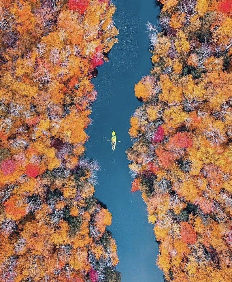 Happy Monday! Did you know that the A2A region is one of the last large-scale, intact forest and wetland linkages left in Eastern North America? Here at A2A, we work with various groups to help protect and enhance the unique ecological features &amp; functions of this corridor!