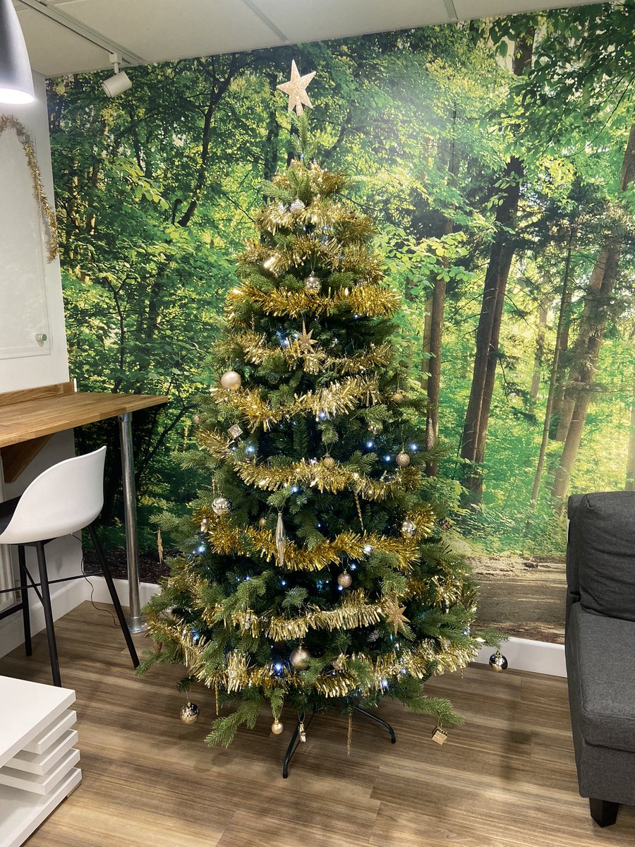 MealeyProjects's tweet image. The xmas fairy 🧚🏼♀️ has arrived and gave our tree a much needed makeover! 🎄🎅🏻