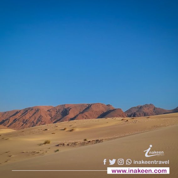InakeenTravel's tweet photo. #sand #beach #sea #nature #sun #ocean #winter #travel #photography #sunset #water #waves #beachlife #sky #love #photooftheday #beautiful #instagood #landscape #vacation #clouds #blue #holiday #desert #beachvibes #ceelgerde
#somalilanddesert #inakeentravel https://t.co/FcE9gFm0c6