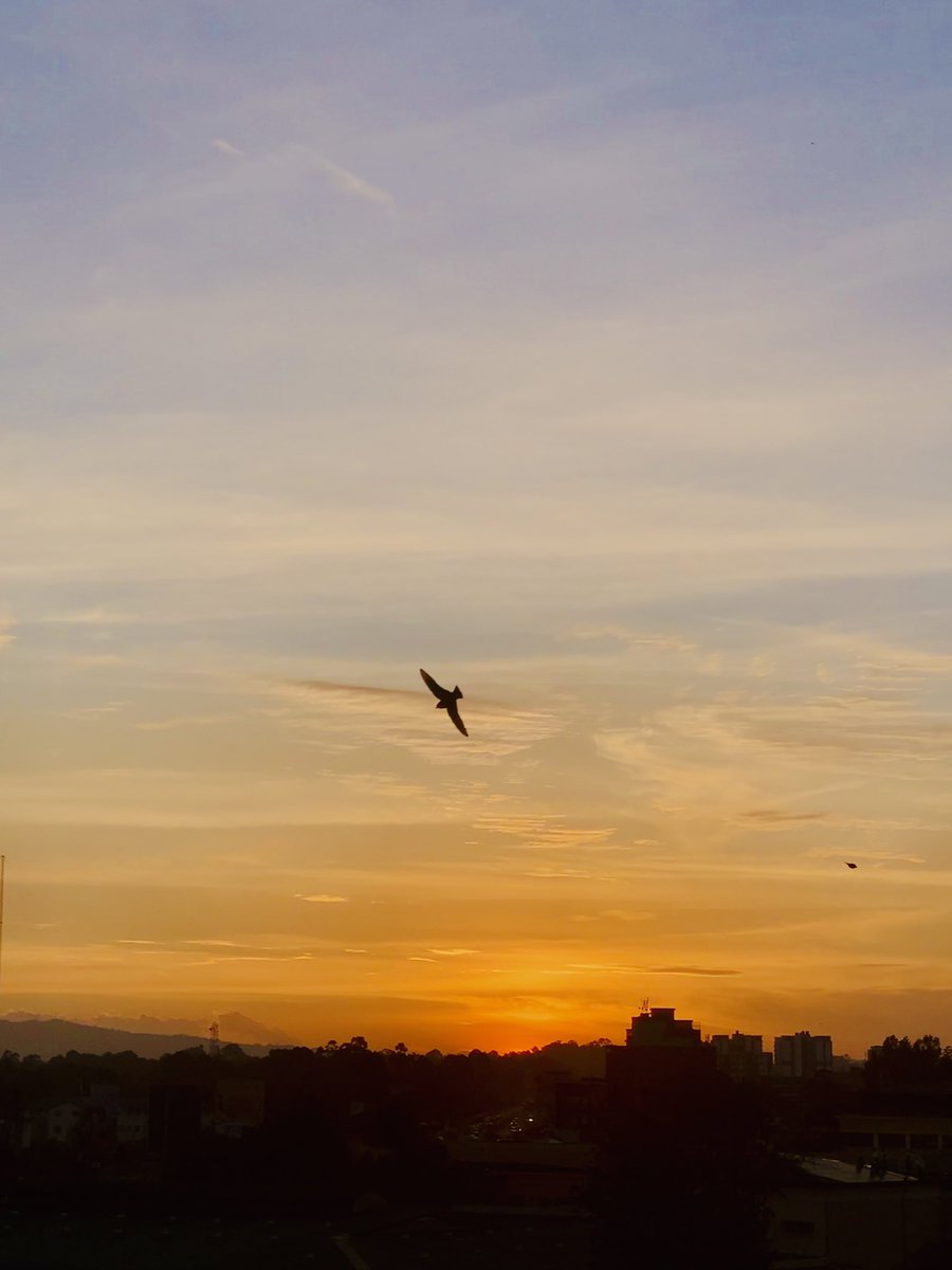 NgeleAli's tweet photo. The reason birds can fly and we can’t is simply that they have perfect faith – for to have faith, is to have wings.
– J.M. Barrie
#SunChasing
#TravelingLighter
#Grateful https://t.co/iC8S4KlzT7