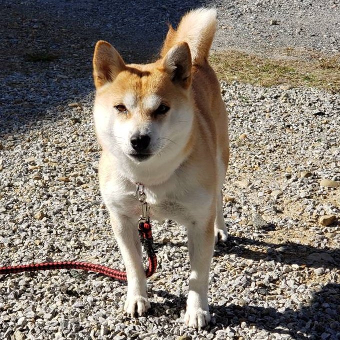 #新しいプロフィール画像