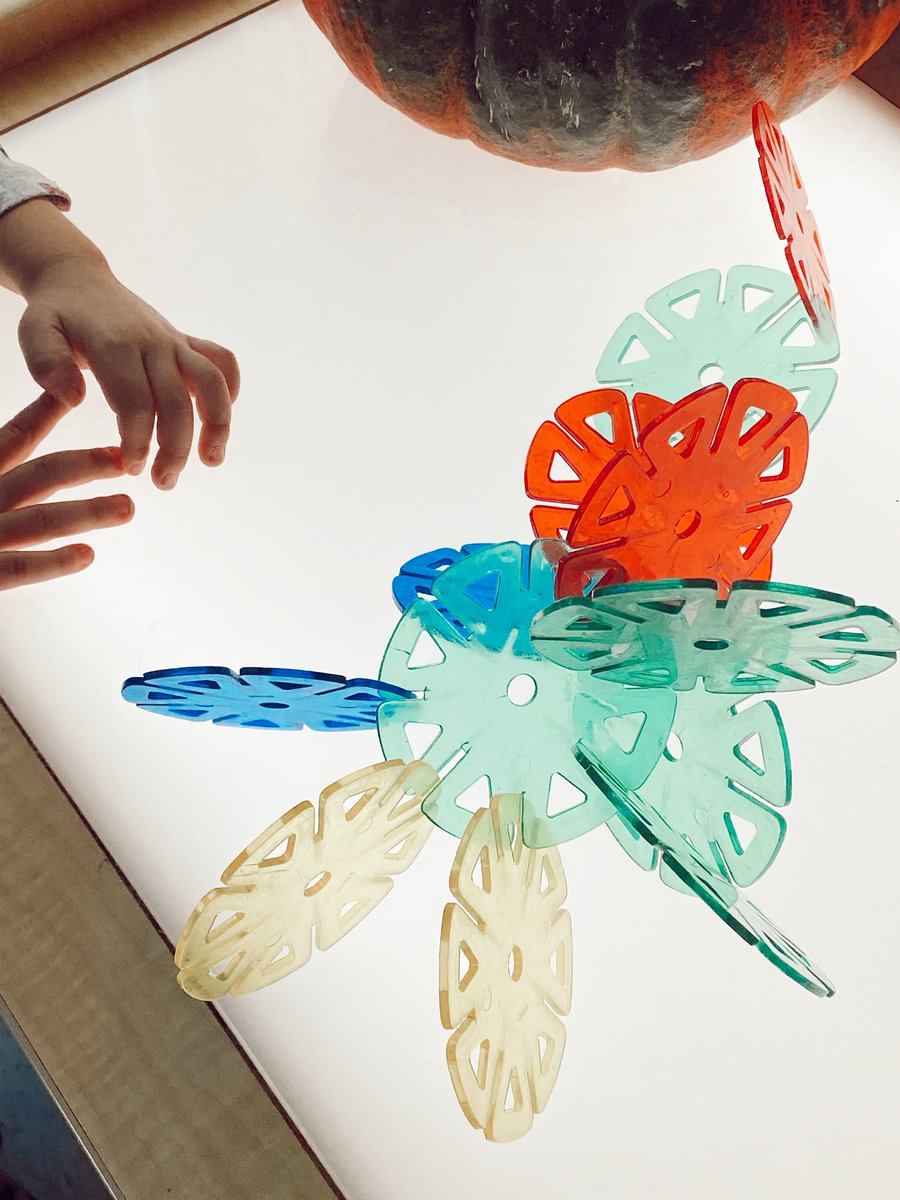 RCPS_EarlyLearn's tweet image. Light and Reflection in Pre K. #prek #lightandreflection
#lighttable