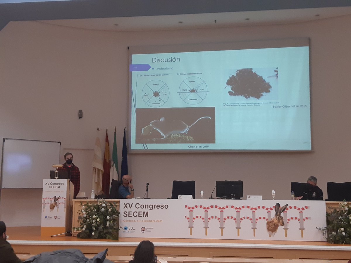 Rafa Barrientos tweet media