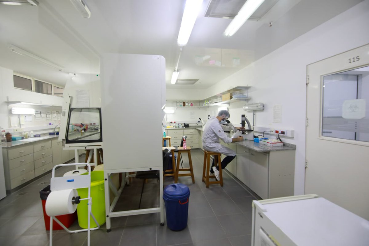 FilmusDaniel's tweet photo. Recorrimos junto a @mayrasmendoza, Alejandro Villar, Alfredo Alfonso y Mario Lozano el Laboratorio de Microbiología Molecular de la @UNQoficial, en el marco de la visita para firmar el convenio en apoyo a #QuilmesTec. https://t.co/HenZrcTr5a