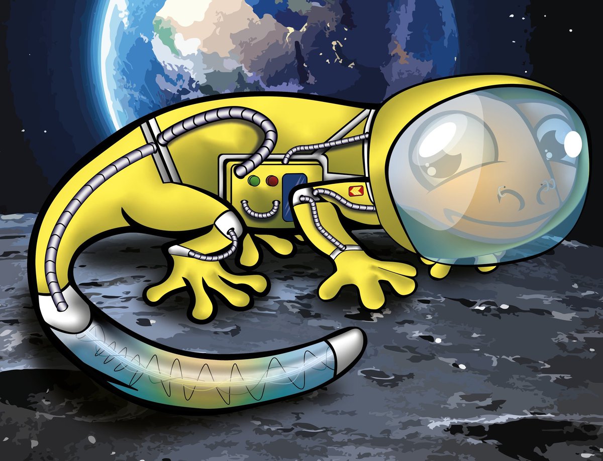 ReunionArt's tweet photo. N'oubliez pas de venir aider notre #GeckAstro a rentrer sur terre grâce à  100 followers.
Il aura les pattes remplies de Trésors.
#RiadCoin #RiaWiteList #RiaAirDrop #RiaExclusif https://t.co/rXqSOAyeYl