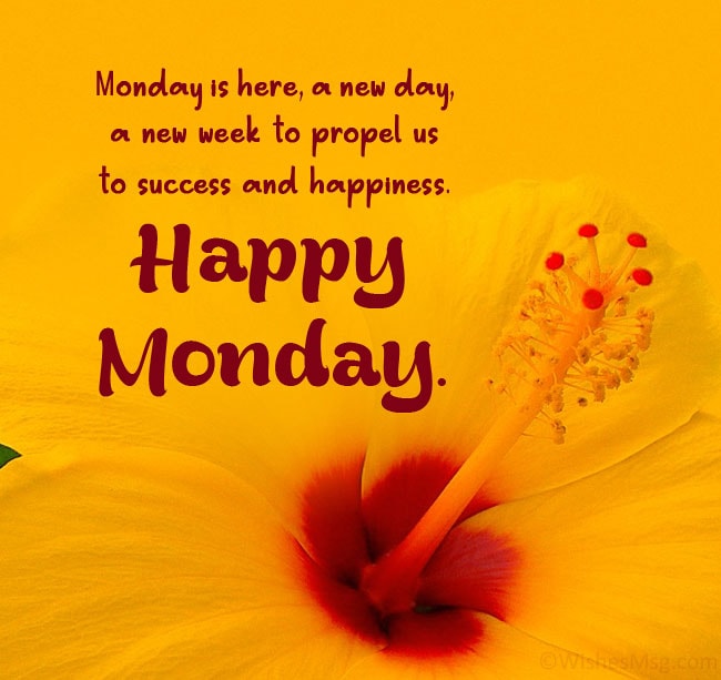To all of our families and followers, Have a Great Monday and an awesome start to a new week! 😁 
#ANLFANG #MondayMotivation #Motivation #Positivity #PositivePerspective #NewWeek
#PositiveParenting