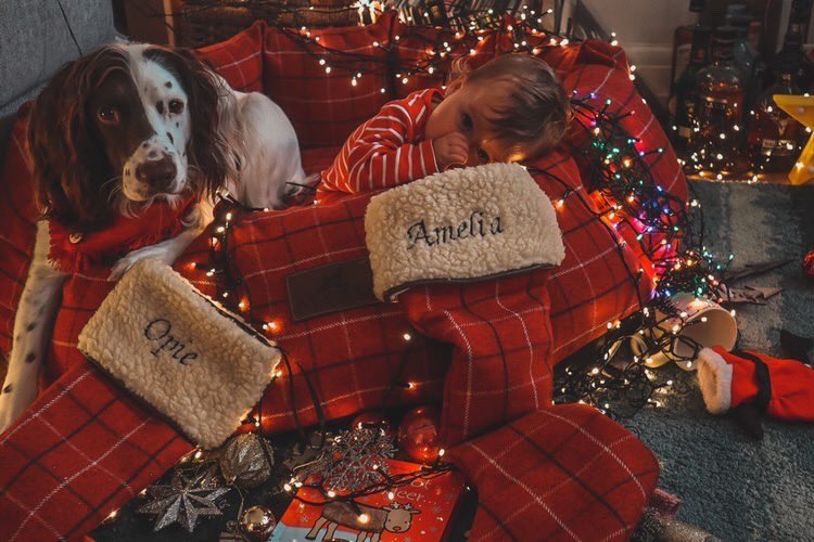Its beginning to look a-lot like Christmas 🎅🏼 

📸@jodieleebythesea

🔎 The Den Bed in Rust &amp; Personalised Stockings in Rust 

#12DaysofChristmas #25DaysOfChristmas #Christmas #stocking #christmasdecorations #dogbed #dog