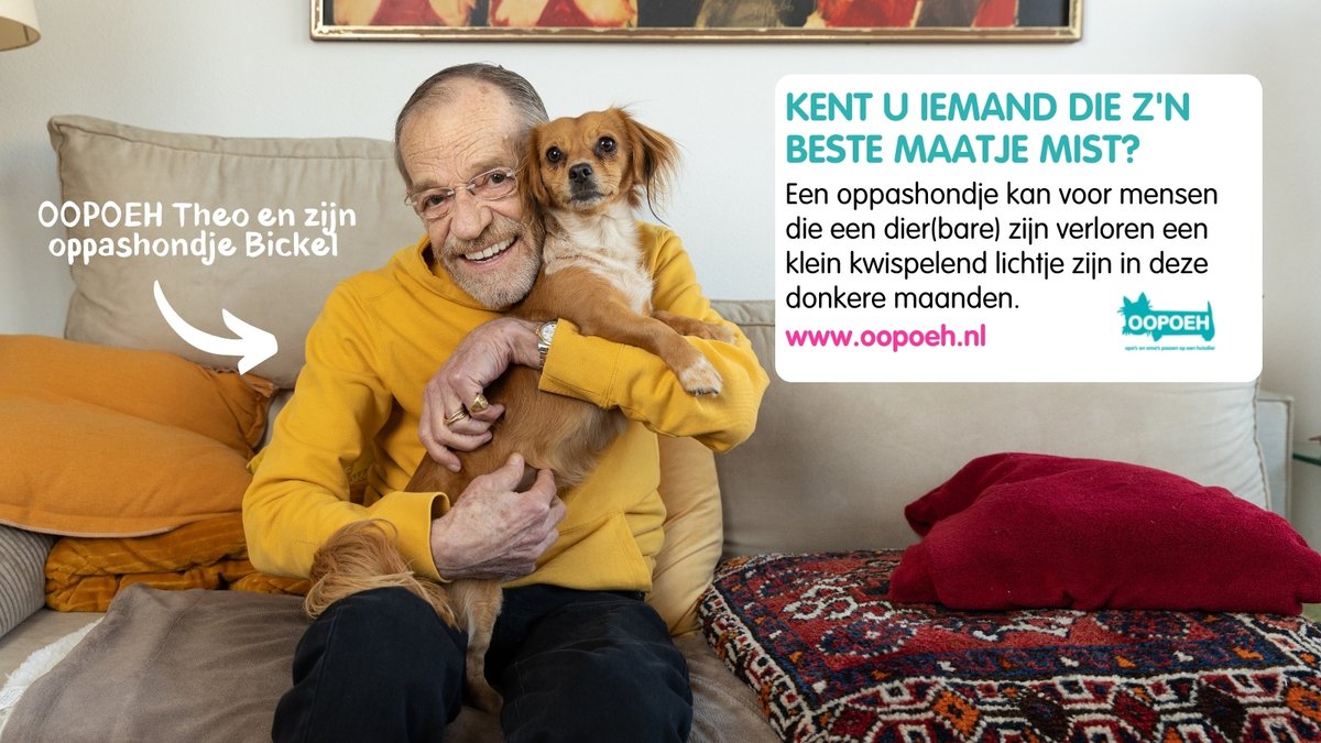Voor senioren die een dier(bare) zijn verloren zijn is deze donkere decembermaand een lastige tijd. Wij willen er graag voor hen zijn! Kent u iemand die een vrolijk kwispelend staartje om zich heen mist? Ga naar oopoeh.nl/bestemaatje