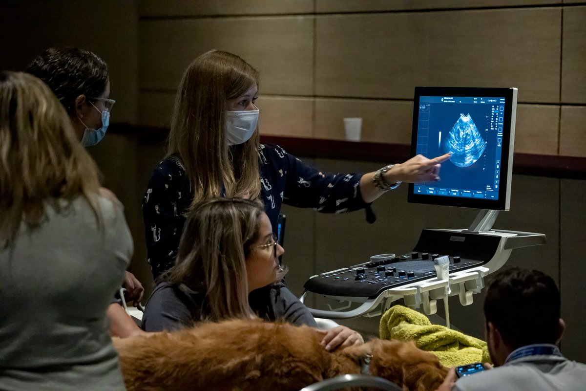TGAVConference's tweet photo. You brought all of your expertise, your commitment to learning and your passion for animal health to The Gulf-Atlantic Veterinary Conference's return this past weekend.

We're as grateful as ever for the continued dedication you all bring to veterinary medicine.

#TGAVC2021 https://t.co/Wn357lDm4a