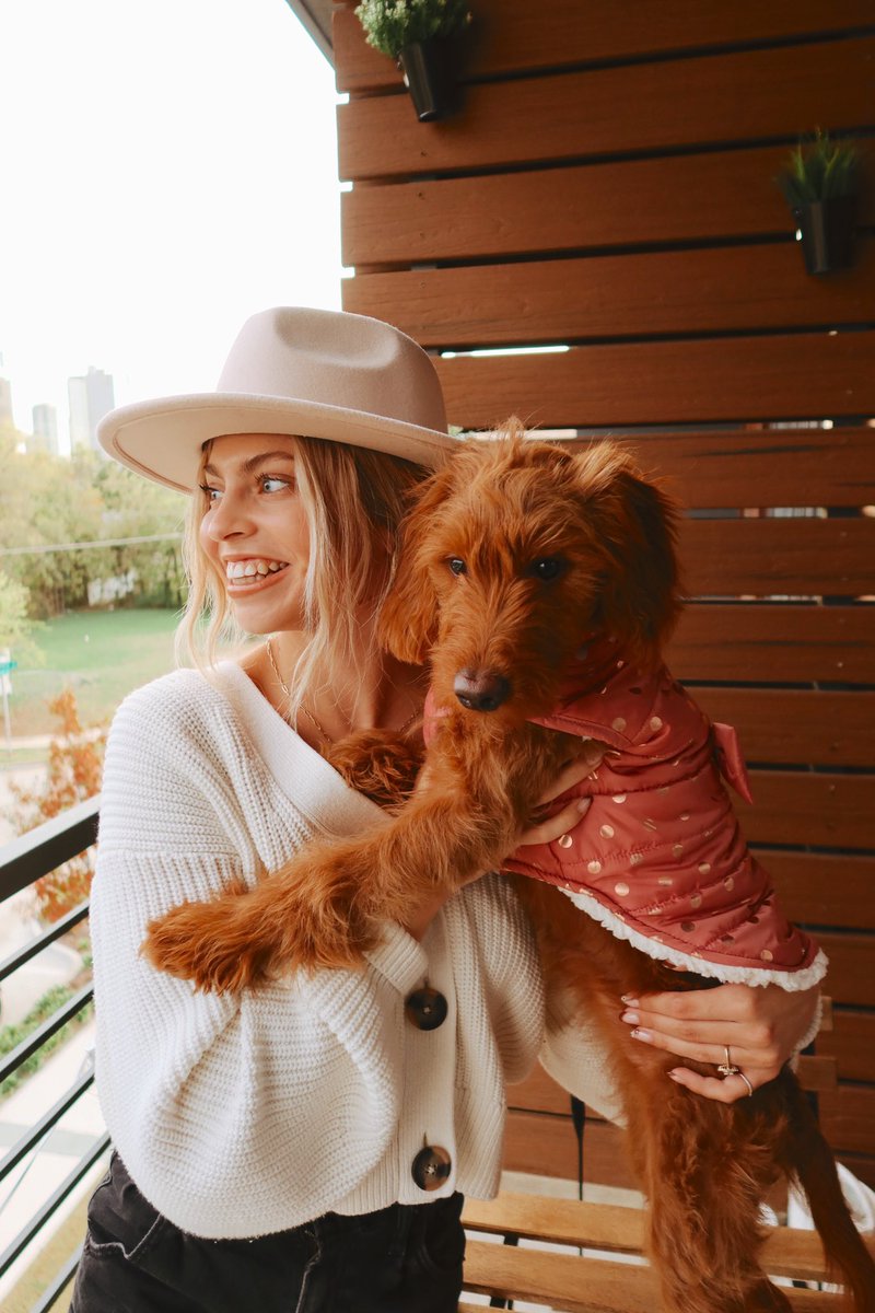 cass spinelli tweet media