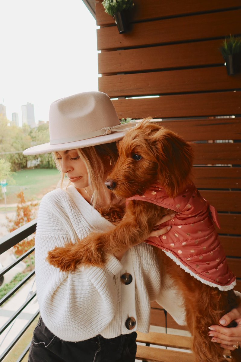 cass spinelli tweet media