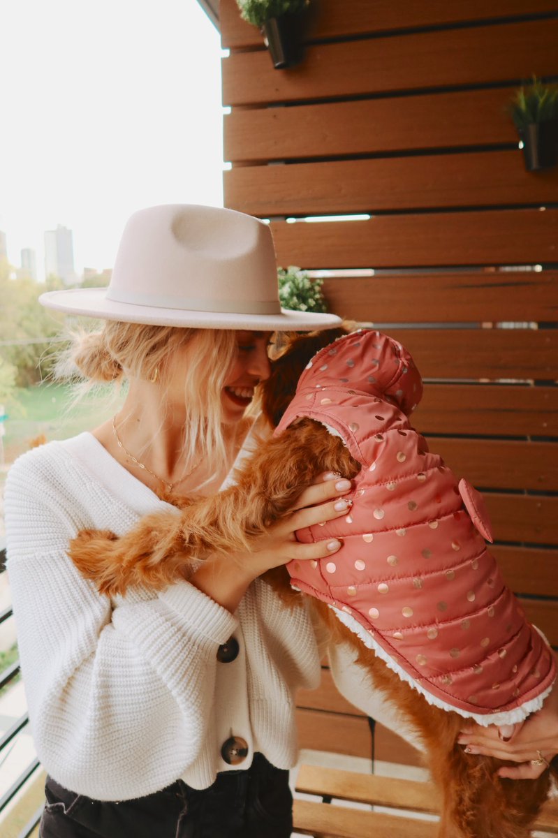 cass spinelli tweet media