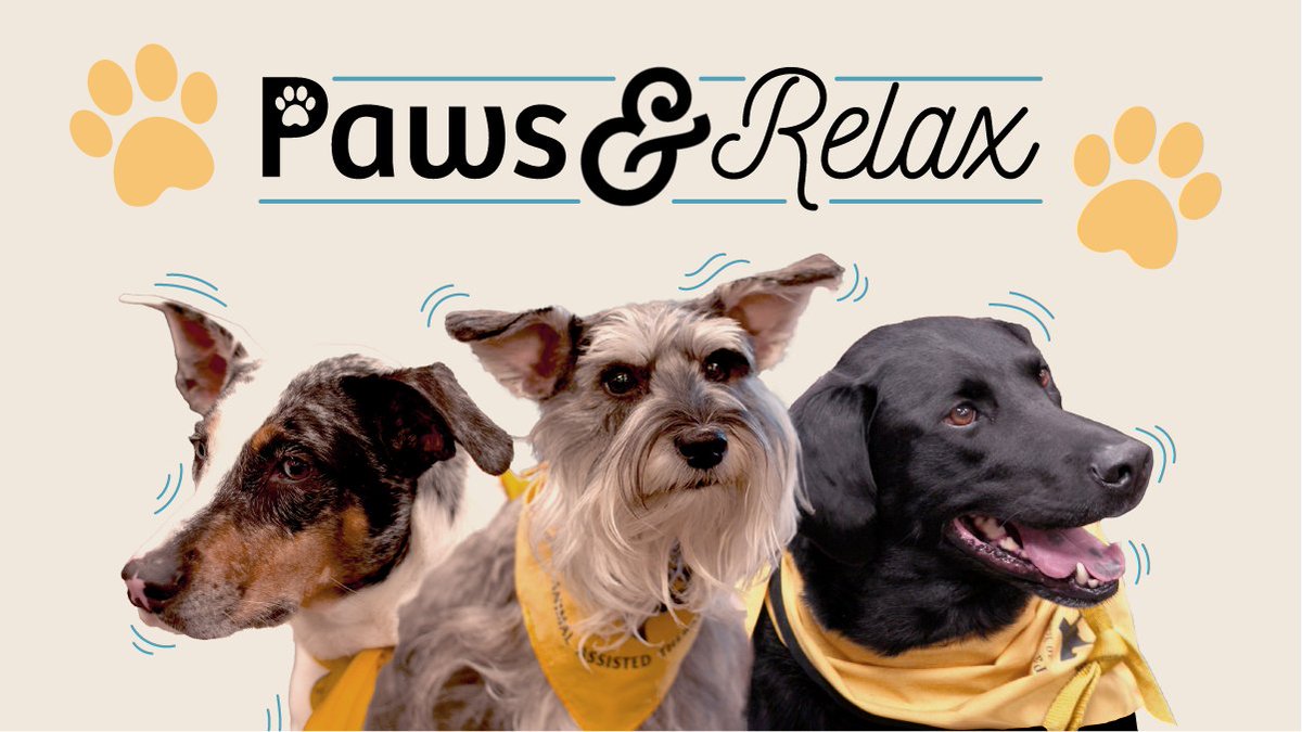 Need to unwind? Paws Across Texas will bring trained therapy dogs for a study break full of paw-shakes and belly rubs. We'll be in Willis 250H on Tuesday, December 7 from 11 am to 1 pm! <a href="/UNTsocial/">University of North Texas</a>