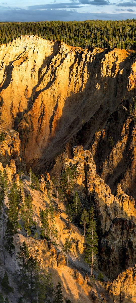 debandi_marcos's tweet image. 