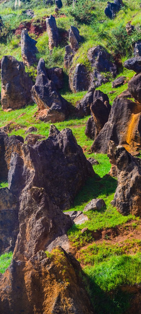 debandi_marcos's tweet image. 