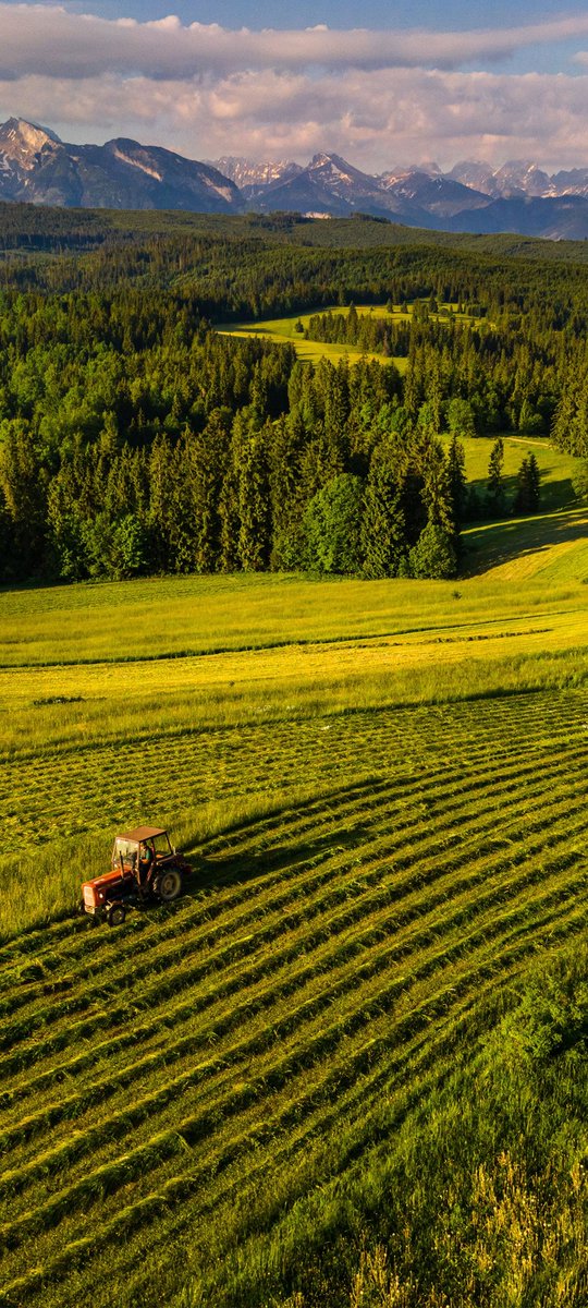 debandi_marcos's tweet image. 