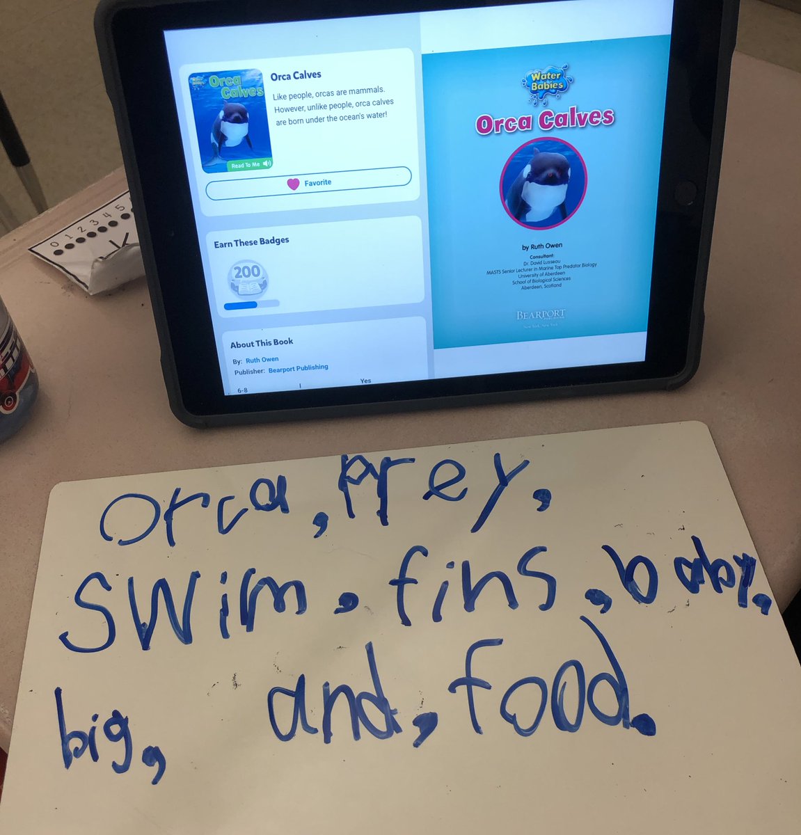 MrsBondFC's tweet photo. Second Graders at @OwenJRobertsFC are becoming expert nonfiction readers! This morning we made lists of keywords that we expected to run into while reading! #WhatMakesFCSpecial @litguy6 https://t.co/Nu896nvGqZ