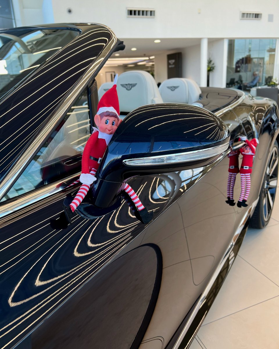 BentleyLeic's tweet photo. The Bentley Continental GTC is so popular, even Jingle and Jangle wanted a closer look.. 

Have a look at our website for more information about our available cars! 

#Bentley #BentleyLeicester #BentleyContinentalGTC https://t.co/wjwVqawJTy