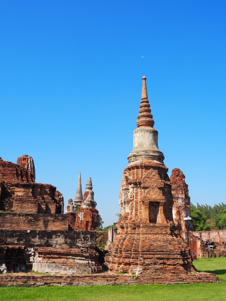 #THAILANDE 📍#Ayutthaya 
Le Wat Maha That a été détruit comme le reste de la ville par les Birmans en 1767. On raconte que lorsque les Birmans ont décapité les Bouddhas, une des têtes aurait roulé jusqu’à un arbre qui l’aurait recueillie dans ses racines.  
#thailand #asie #asia