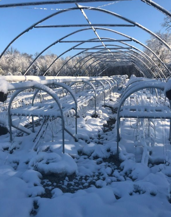 IBEX Grows tweet media