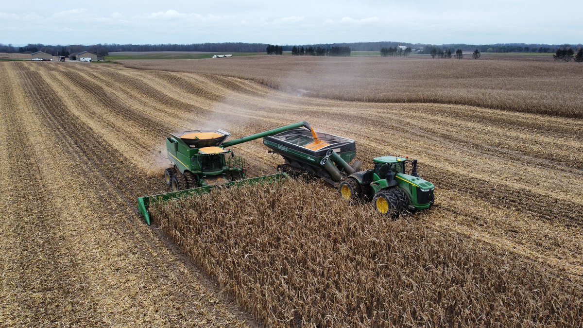 iamdoug12's tweet photo. @HuronTractorLtd #IRunWithHT #harvest21 Cantelon Farms hard at it!!! https://t.co/DKdoiTfMlS