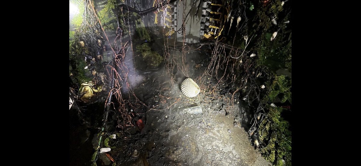 henrykleeKTVU's tweet photo. Someone torched the Christmas tree at Jack London Square overnight, apparently using a spray can and lighter to set it on fire, @OaklandFireLive tells me. The tree was partially engulfed and flames went all the way to top. @oaklandpoliceca @OaklandFireCA arson team investigating https://t.co/ZnP623aKVk