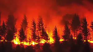 AnneReady3's tweet photo. @RonWyden A carbon price in the reconciliation package would help us achieve 50% emission reductions by 2030. Please help us have a brighter future by supporting it. #OutdoorClimateAction #PriceonCarbon https://t.co/tFIn3QQpJm
