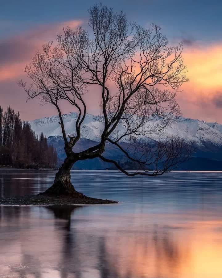 Good evening