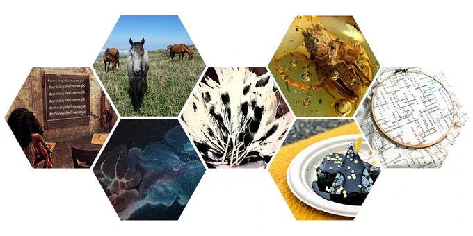 images of research in a collage
