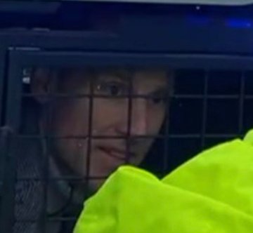 Kad kaķi vedam pie vetārsta