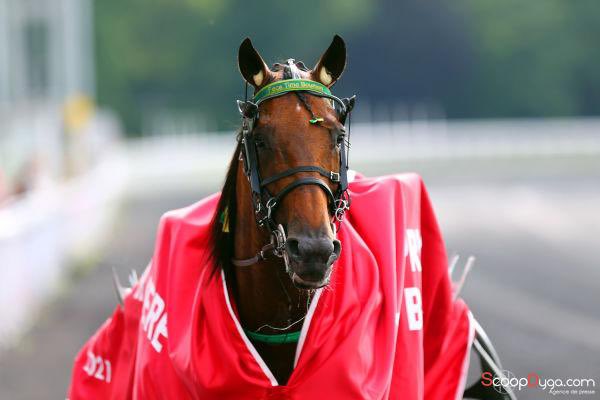 💥 C’est vrai qu’un course contre Cleangame, ce serait sympa ❗️
Et si on organisait ce défi au Printemps prochain en France ou en Europe avec les 10 meilleurs trotteurs et un sponsor ⁉️😁💥
RT si tu valides 🤪
Hippodromes en commentaires 🖊
 <a href="/EcurieGuarato/">Ecurie S. Guarato</a> <a href="/BivansScuderia/">Scuderia Bivans</a> <a href="/LeTrot/">Trotteur Français</a>